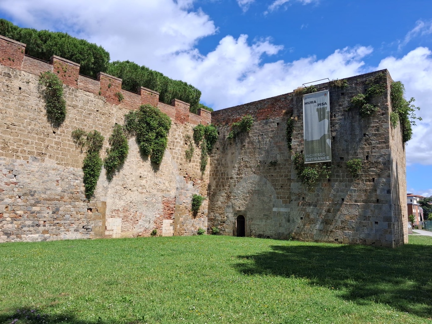 Tramo de la muralla medieval de Pisa, de ladrillo y piedra cubiertos de hiedra, junto a un césped verde.