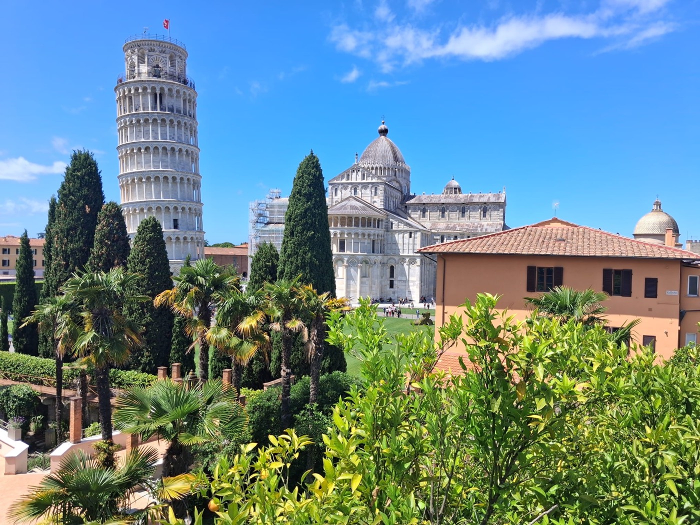 Vista de la Torre inclinada de Pisa y la catedral desde un jardín con palmeras y cipreses en primer plano.